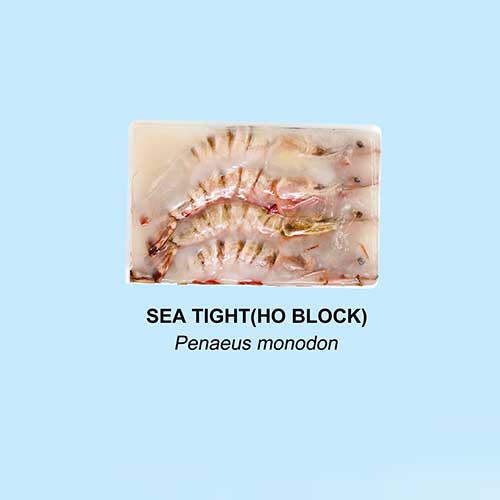 Sea Tiger (HO Block)